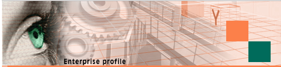 Enterprise Profile